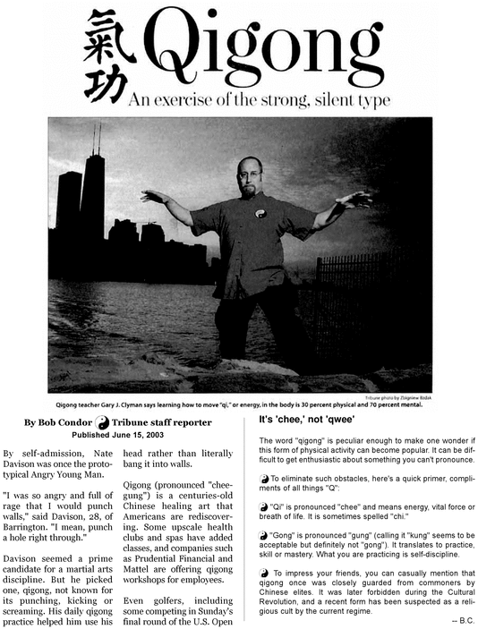 Product picture Qigong An Exercise of The Strong Silent Type